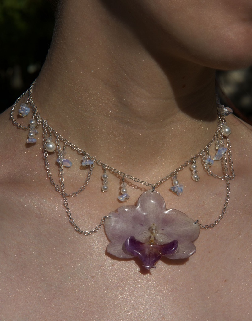 [HISTORIA] Collier Historia