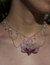 Collier Historia