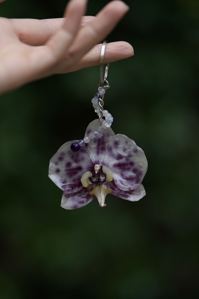 [Porte-clés Phalaenopsis points mauves] Porte-clés Phalaenopsis points mauves